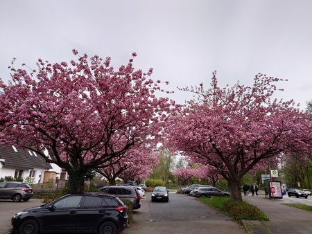 20230428_171613.JPG