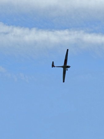 20230427_143320.jpg