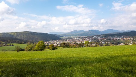 20230430_084604.jpg