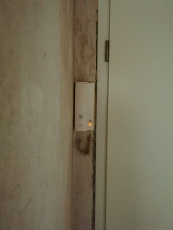 IMG_20230502_132246.jpg