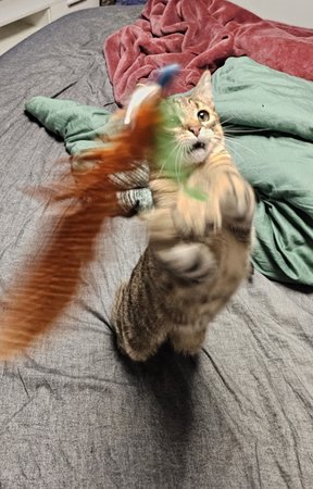 20230502_201820.jpg