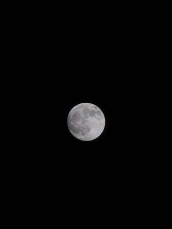 PXL_20230504_201215123.NIGHT~2.jpg