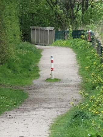 PXL_20230426_130916388.jpg