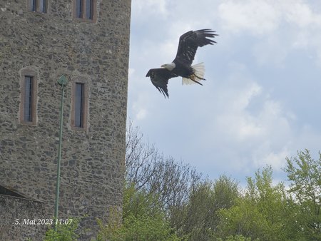 20230505_110712.jpg