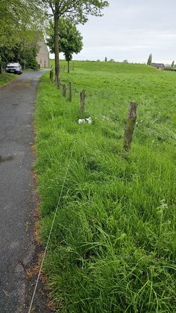 20230505_165545.jpg