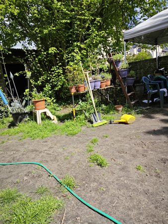 IMG_20230506_121000.jpg