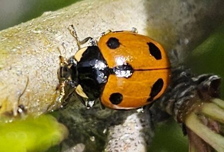 20230506_102438.jpg
