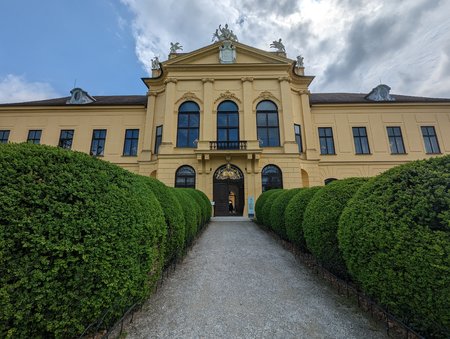 PXL_20230507_085255311.jpg