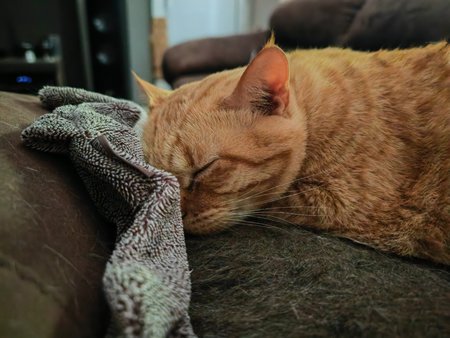 IMG_20230510_091123.jpg