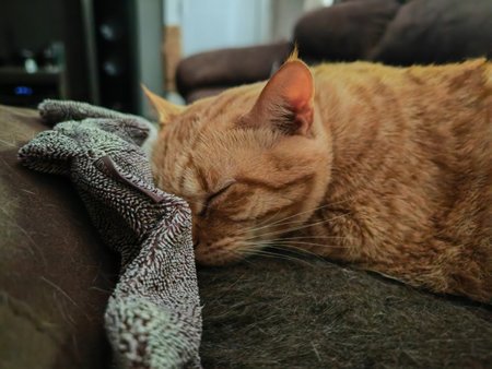 IMG_20230510_091118.jpg