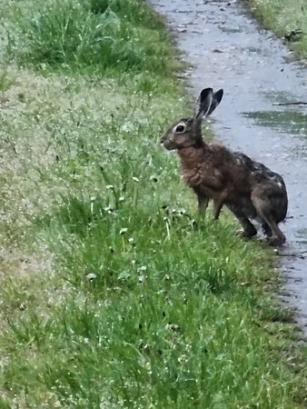 20230511_055919.jpg