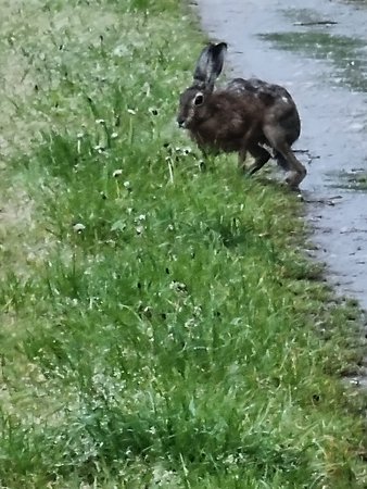 20230511_055914.jpg