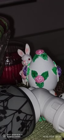 IMG_20230510_210431.jpg