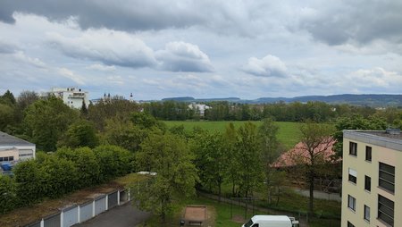 IMG_20230512_133018.jpg