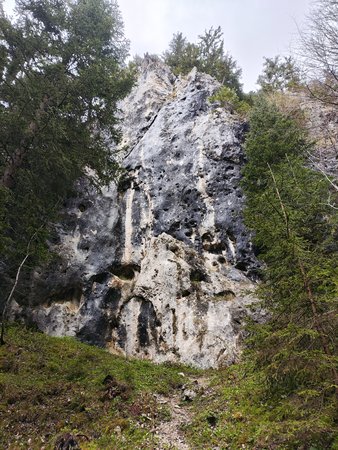 IMG_20230512_132442.jpg