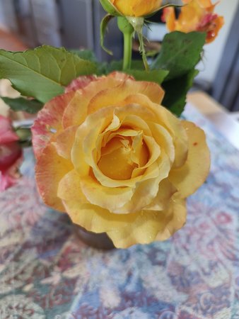 IMG_20230514_131525.jpg