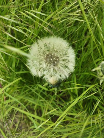64MP_IMG_20230514_150346.jpg