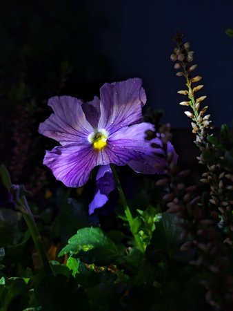 PXL_20230514_190420197.jpg