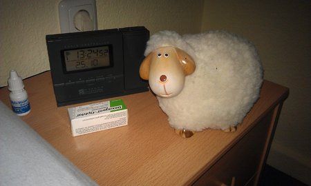 IMAG0228.jpg