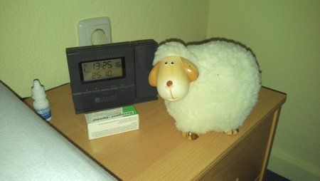 IMG_20121025_132515_580.jpg