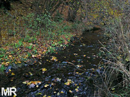 HDR_Camera_2012-10-26_10-25-09.jpg