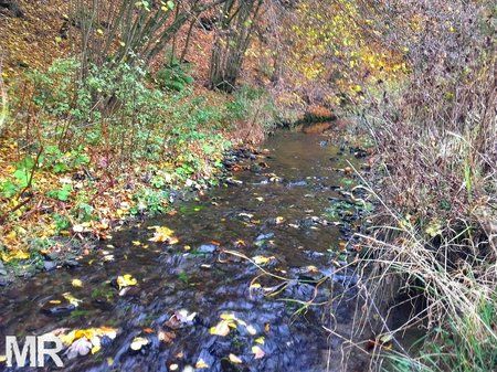 Pro_HDR_Camera_2012-10-26_10-25-09.jpg