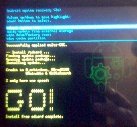 Root_6211.jpg