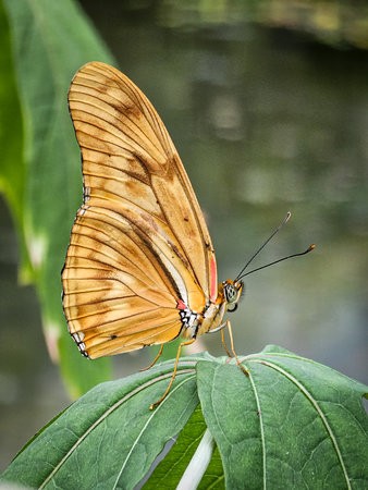 20230513_151727 Kopie.jpg
