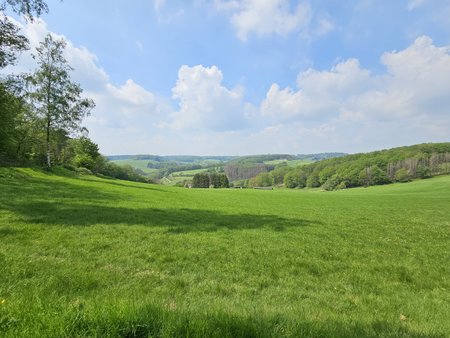 20230515_144831.jpg
