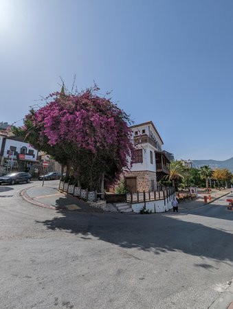 PXL_20230515_123721231.jpg