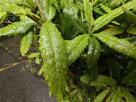 IMG_20230516_085304.jpg