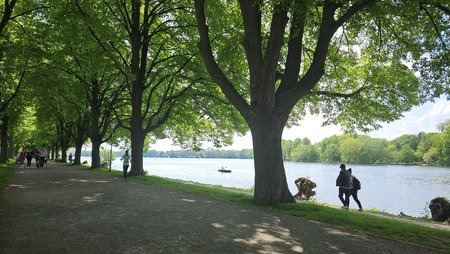 HDR_AUS SO_AUS.jpg