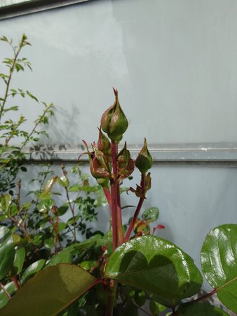 20230520_113626.JPG