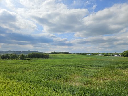 20230520_164740.jpg