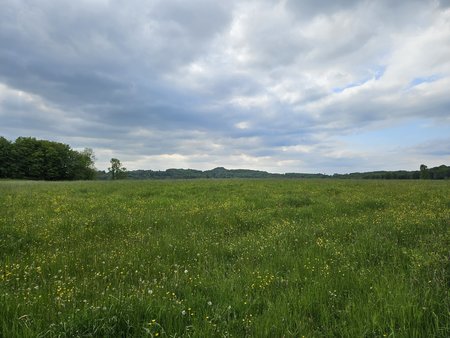 20230520_170315.jpg