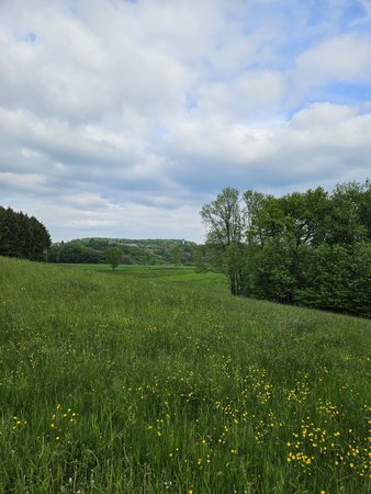 20230520_170534.jpg
