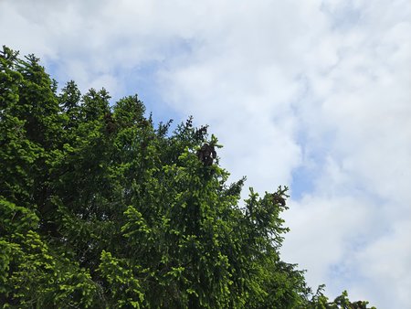 20230520_171558.jpg