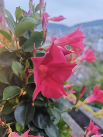 IMG_20230520_204605.jpg