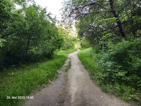 20230520_184046.jpg