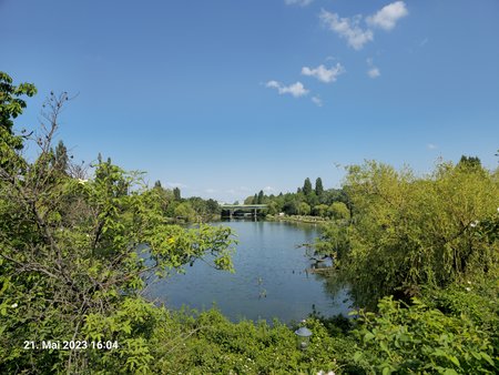 20230521_160441.jpg