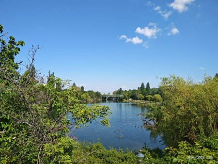 IMG_20230521_160514555.jpg