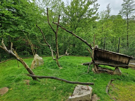 S22_Testbild_Zoo_Banane1.jpg