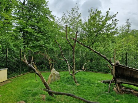 S22_Testbild_Zoo_Banane2.jpg