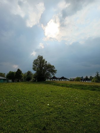 6b.jpg 6b.jpg