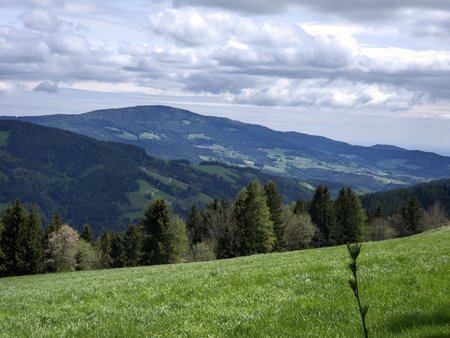 20230518_123551_javasabr_lmc17_s23u_v7_medium.jpg