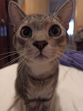 IMG_20210209_091812_Original.jpeg