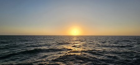 20230525_054506.jpg