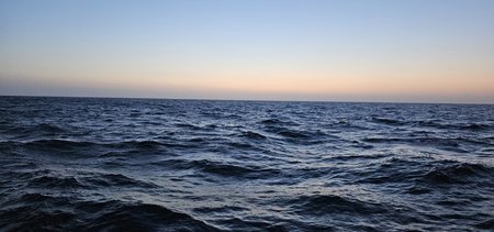 20230525_043049.jpg