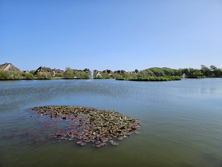 20230525_161022.jpg