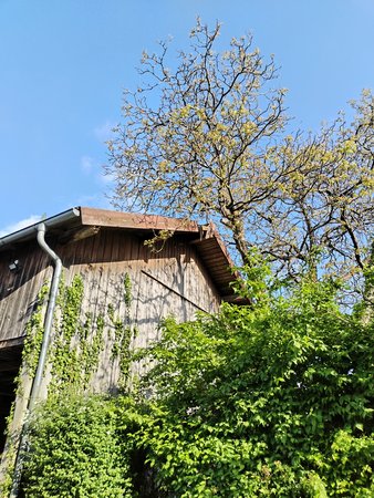09a.jpg 09a.jpg